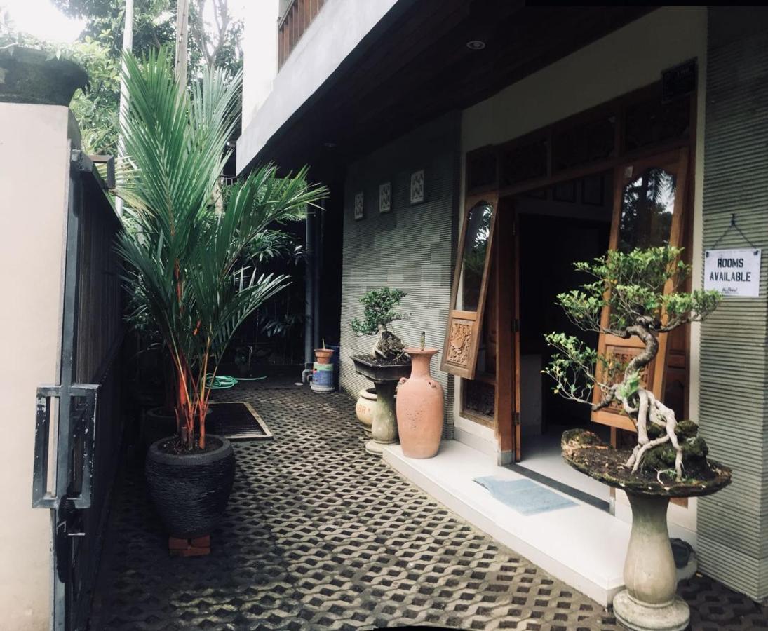 Hotel The Point Surfcamp Bali Pulukan Exteriér fotografie